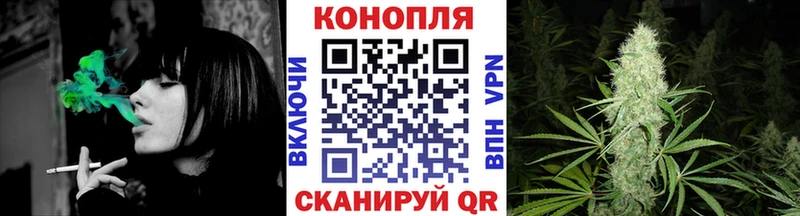 Купить  Канаш  Бошки Шишки конопля 